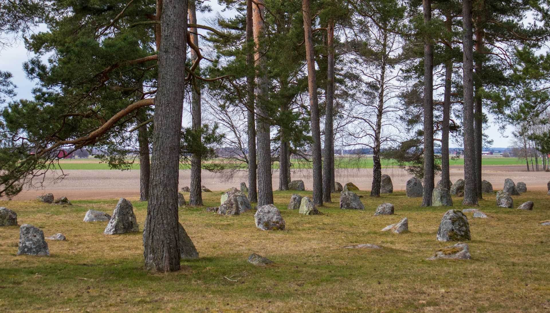 Discovering Finnish Mythology in the Kalevala Region